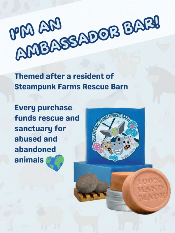 Ruby's Raspberry Rose Hibiscus — photo 5