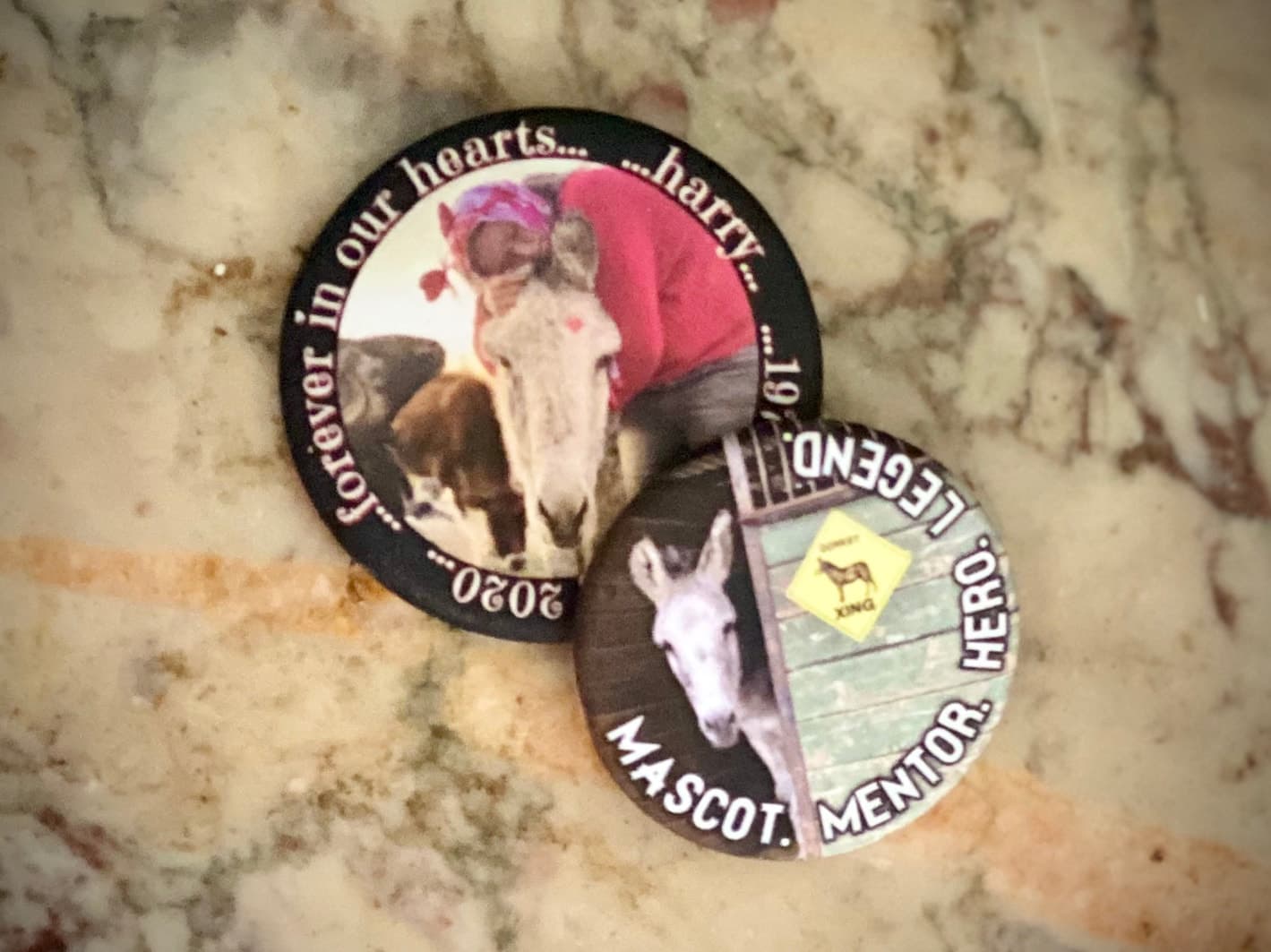 Harry Memorial Button Set โ photo 1