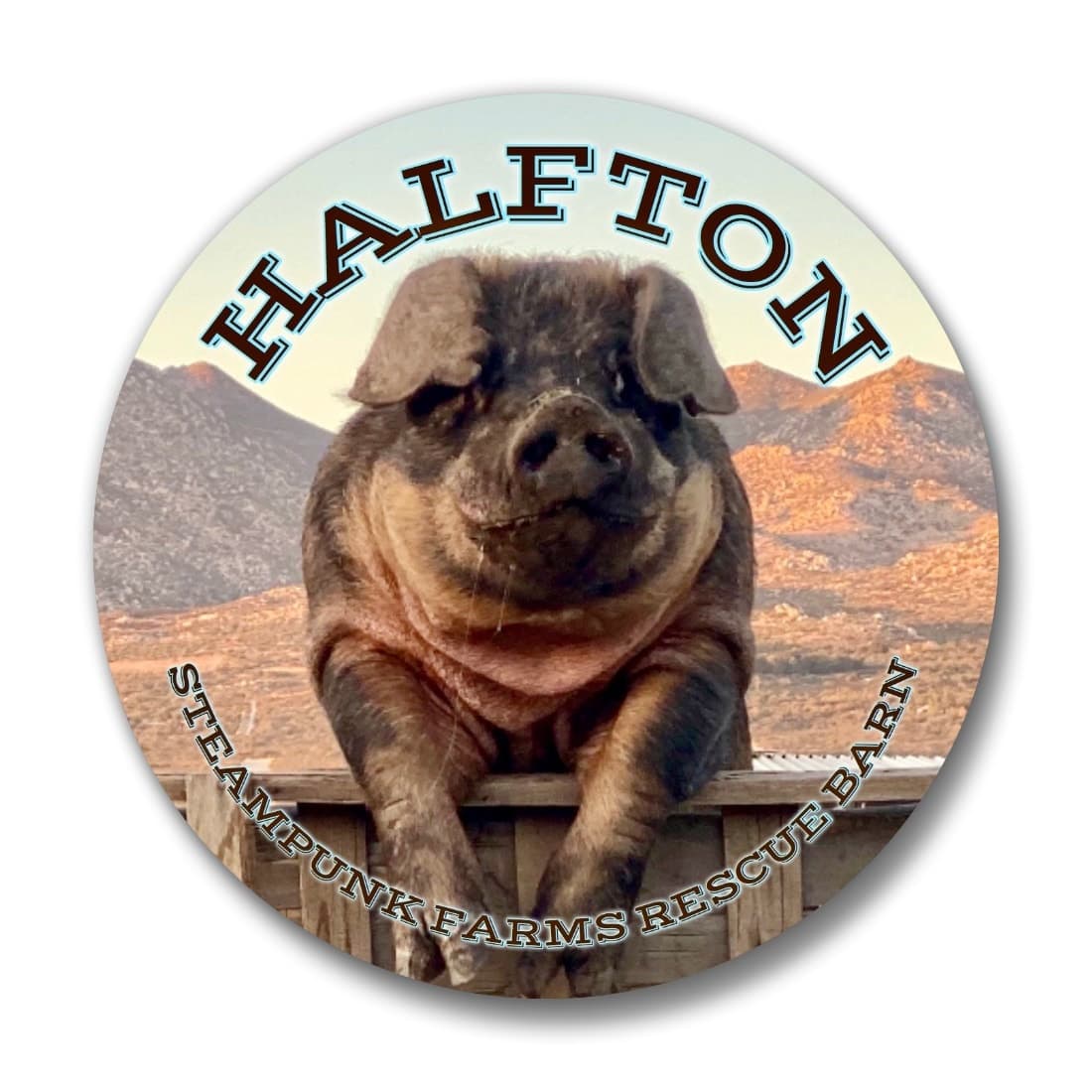 "Kind Of A BIG Deal" Button Set โ photo 3