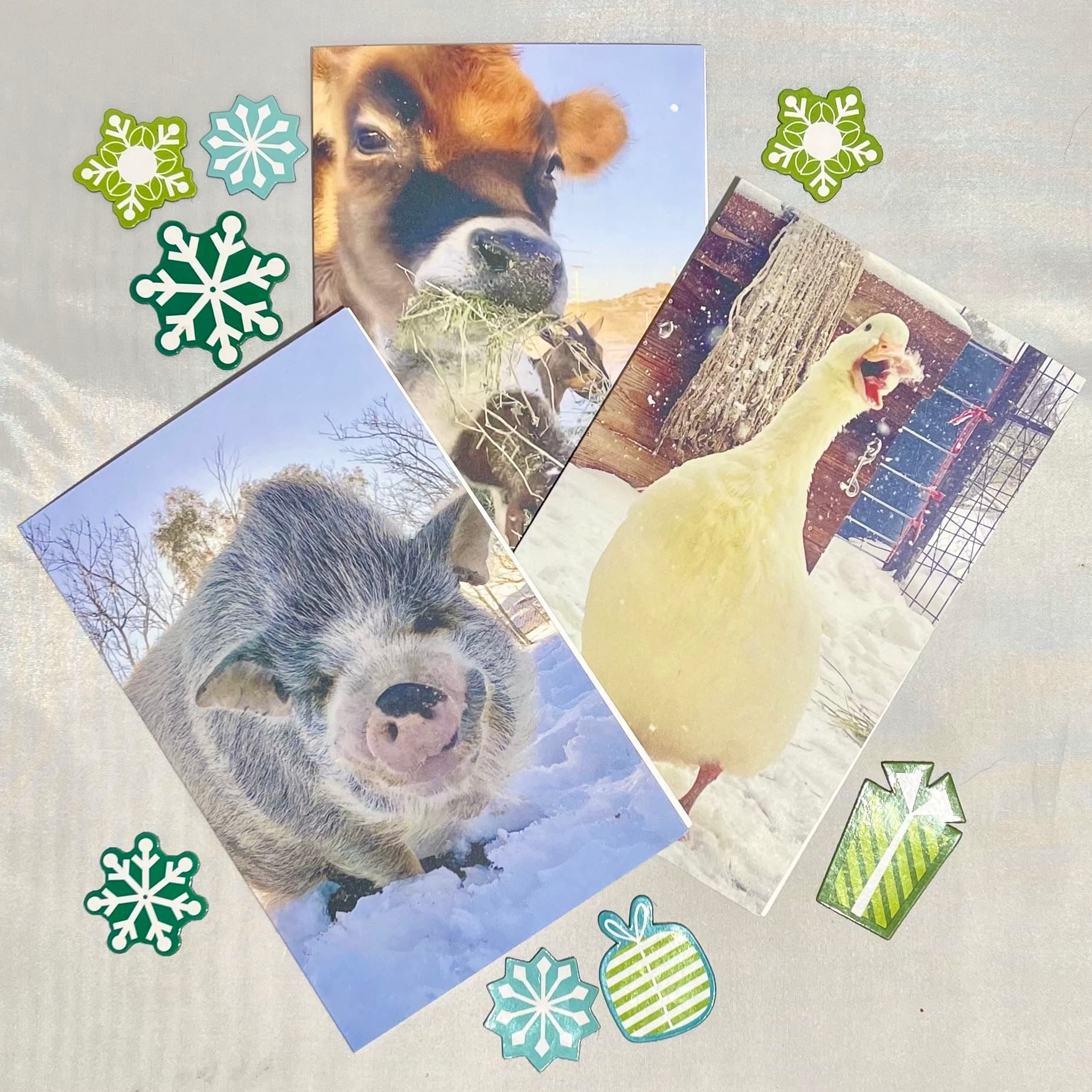 Winter Holiday Cards โ photo 1