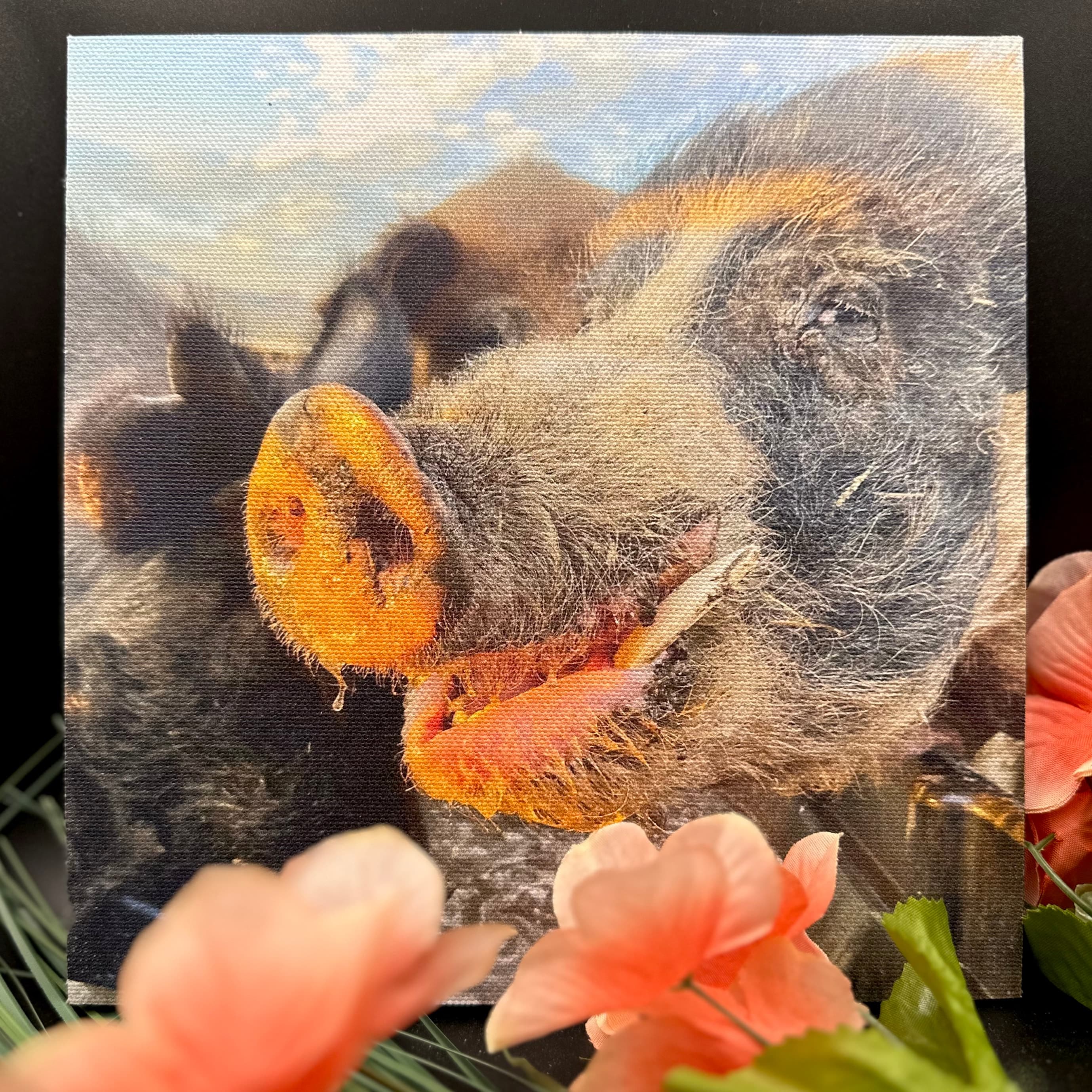 Steinbeck โ photo 1