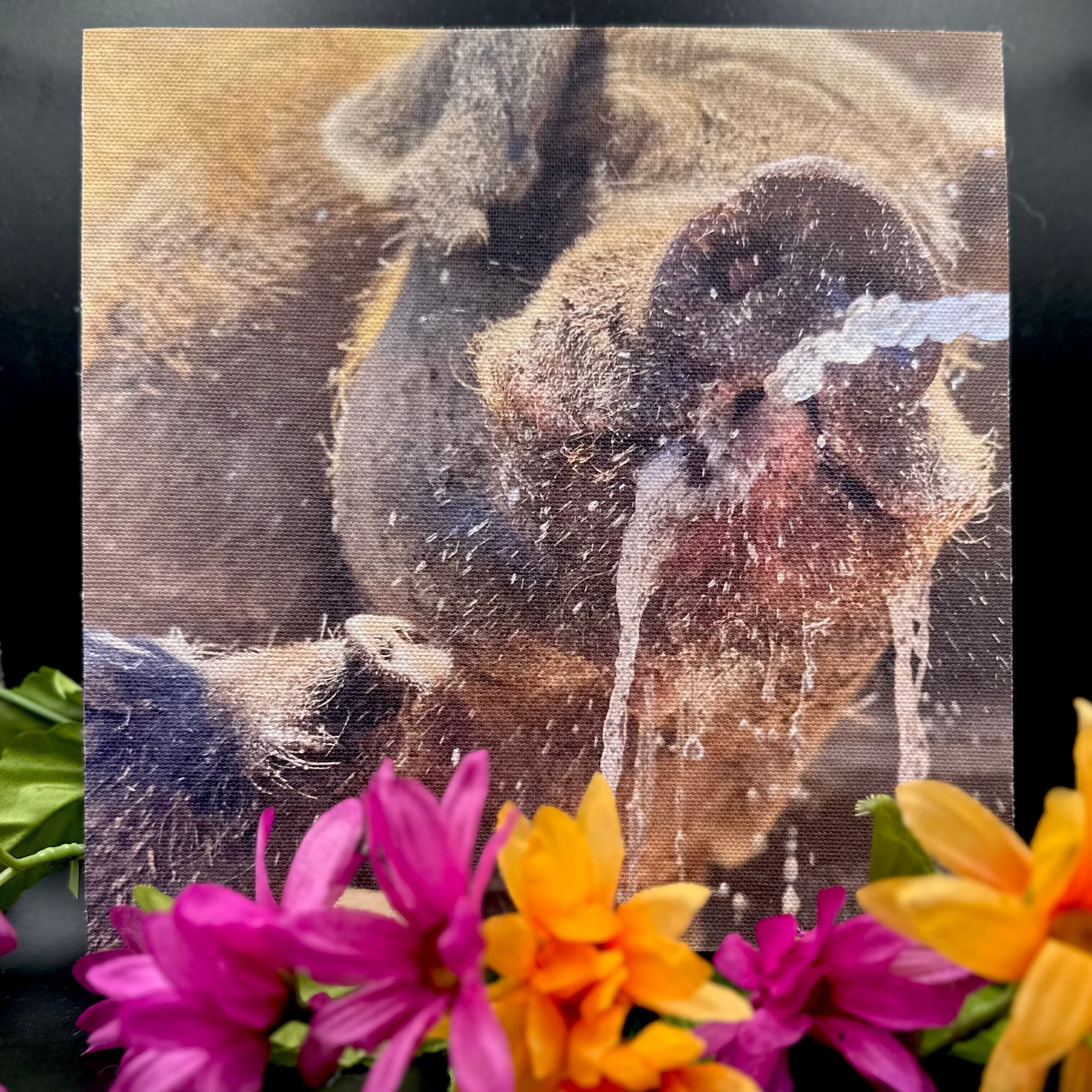 Halfton โ Photo Buttons & Souvenirs