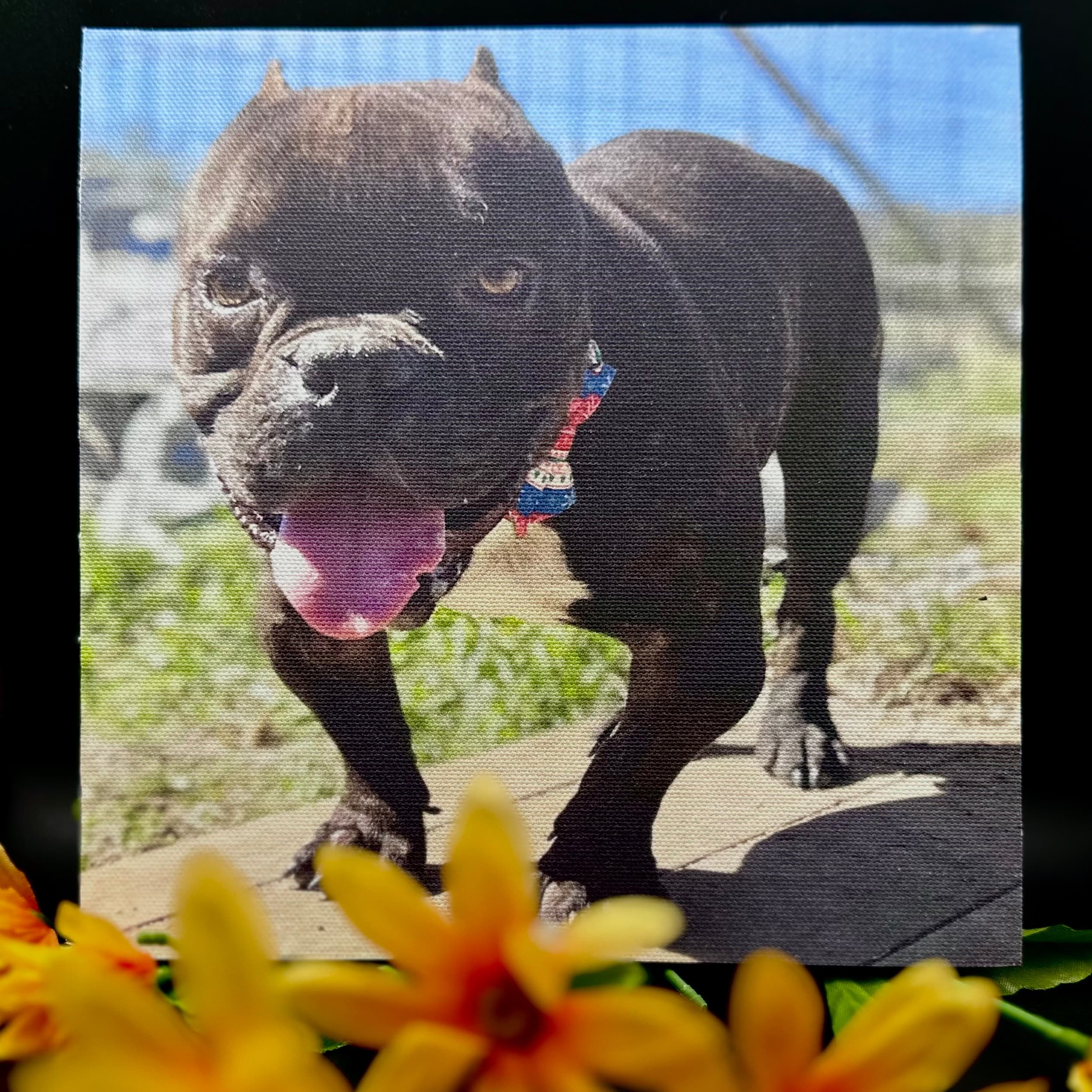 Elvis โ Photo Buttons & Souvenirs